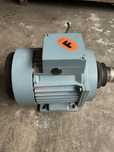 Motor trifasico