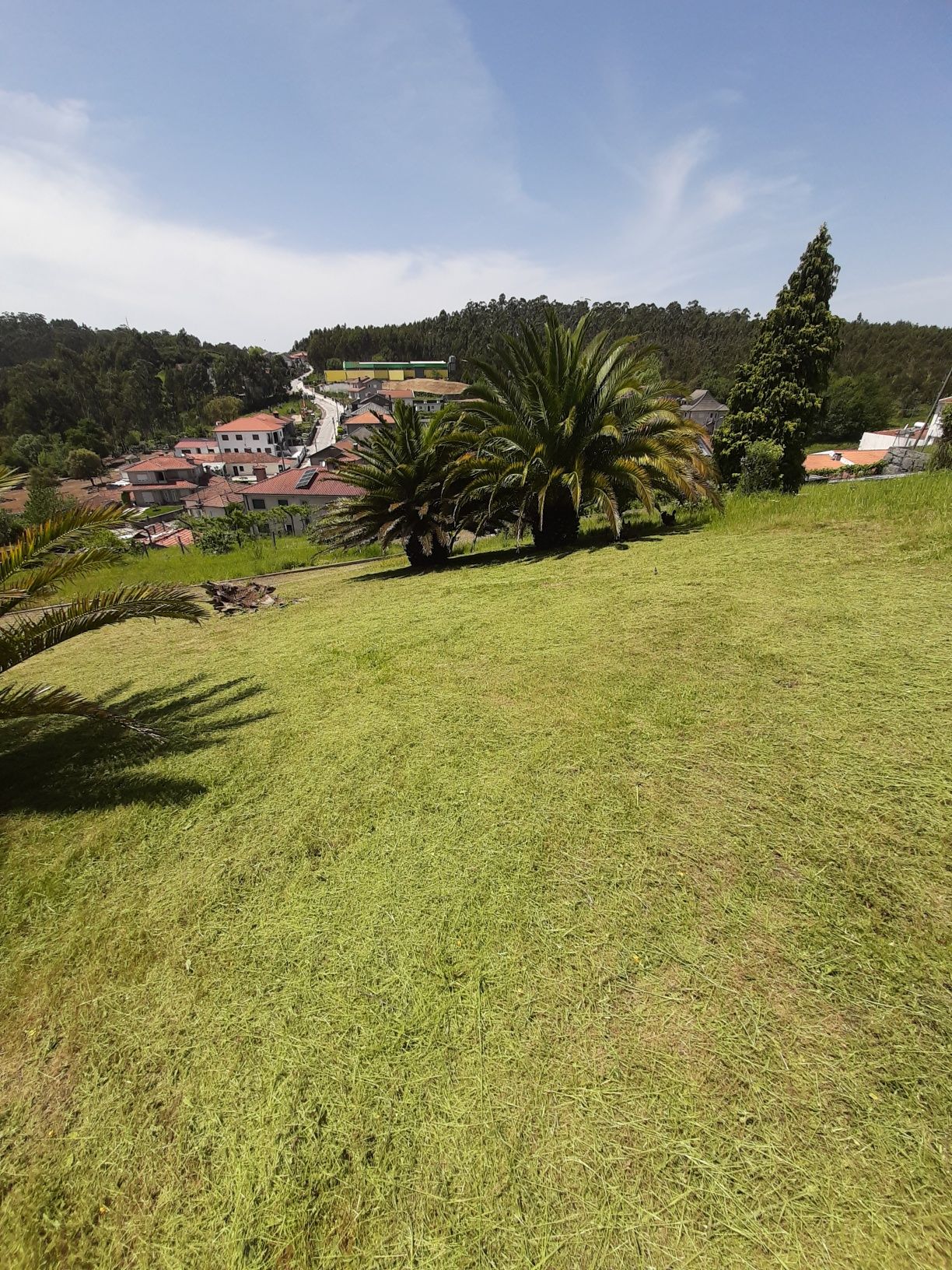 Todo o tipo d limpezas terrenos