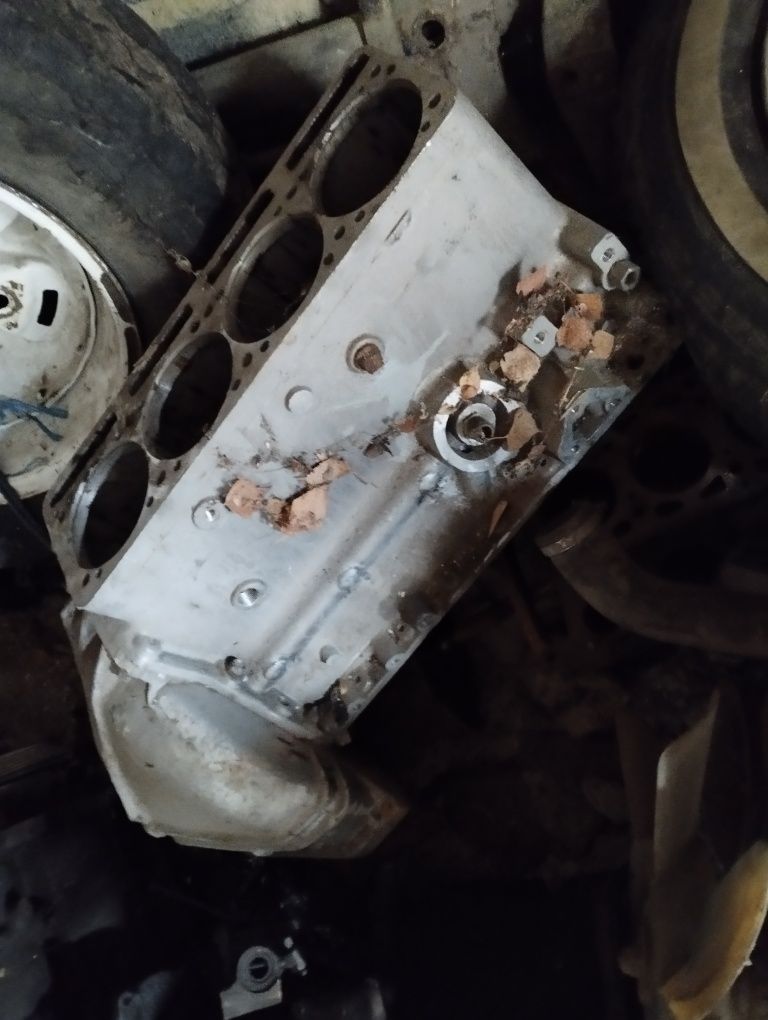 Двигун газ 24 10.