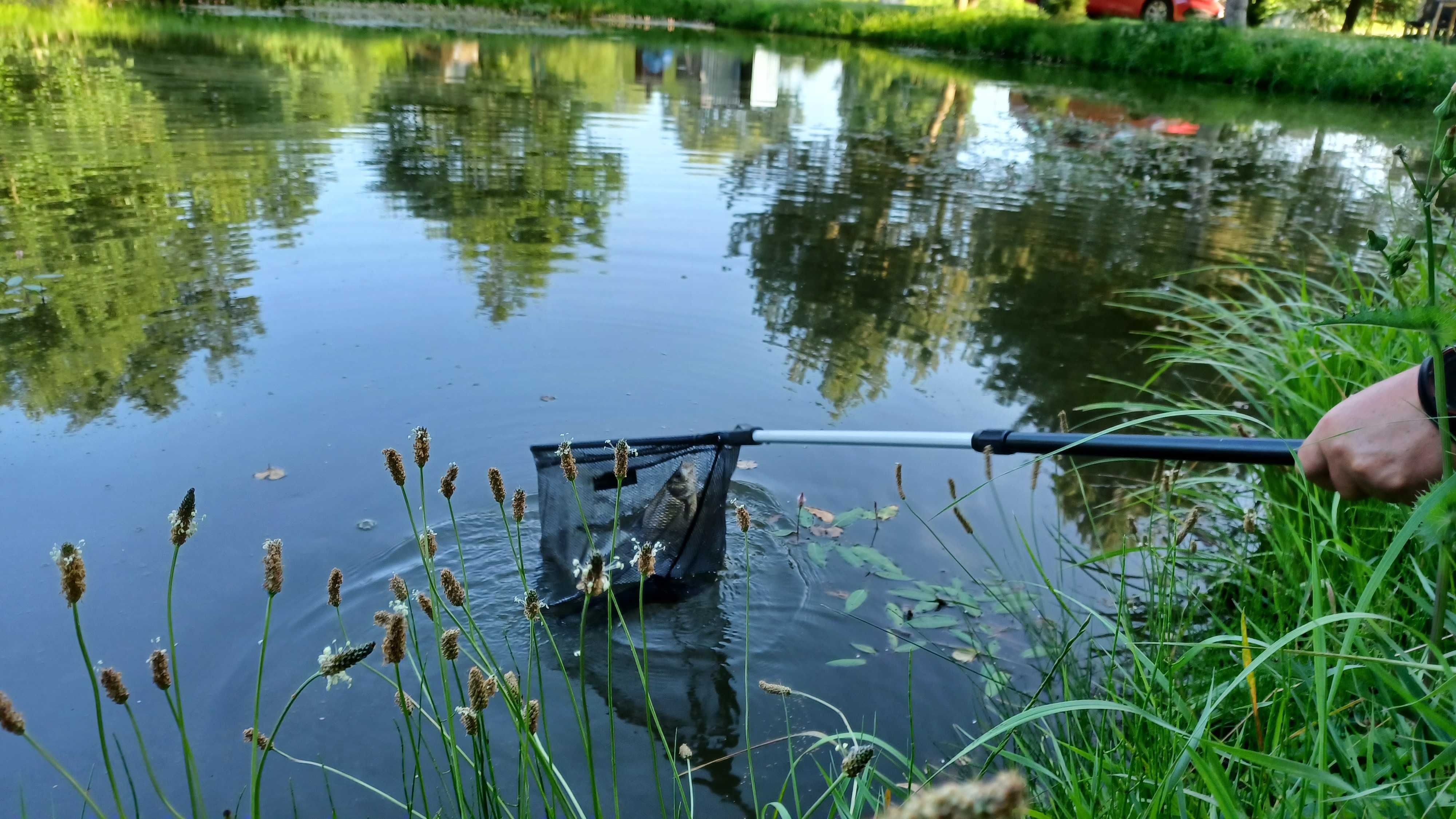 Agroturystyka, Noclegi na wsi, Staw, Wędkowanie, Domki letniskowe