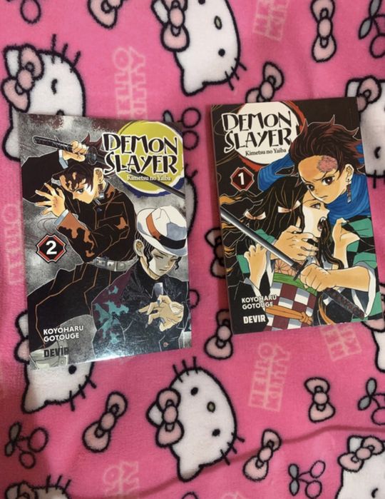 Livros Demon Slayer Vol 1 e 2