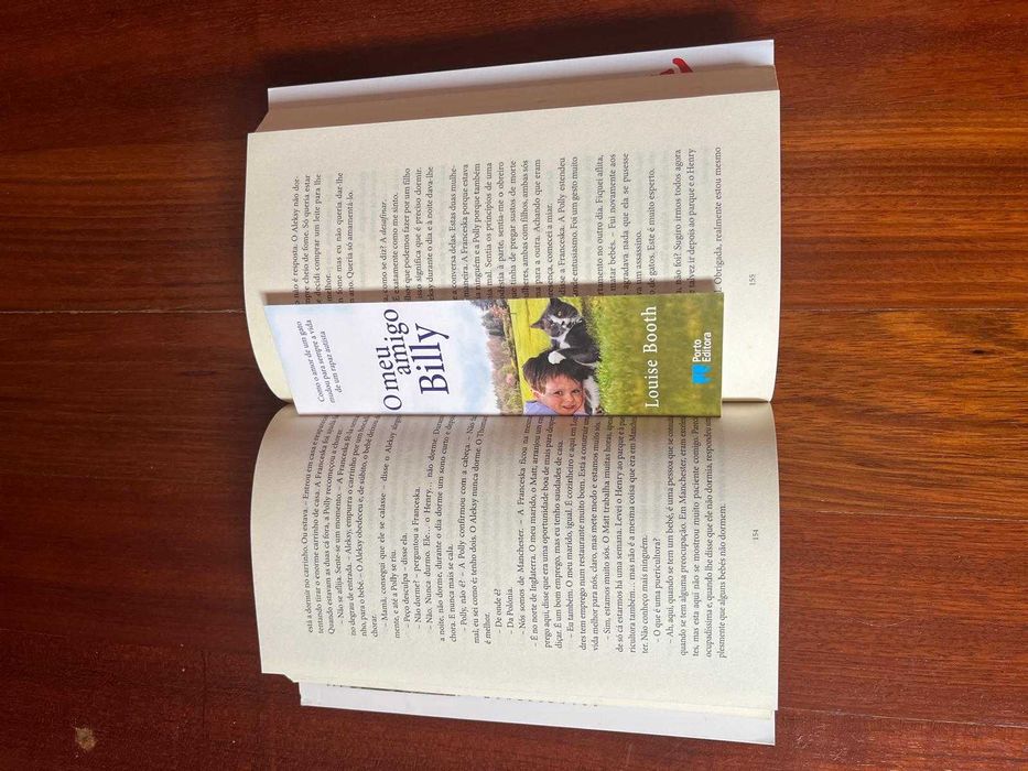 Livro "Alfie - o gato do bairro" (Rachel Wells) - como novo!