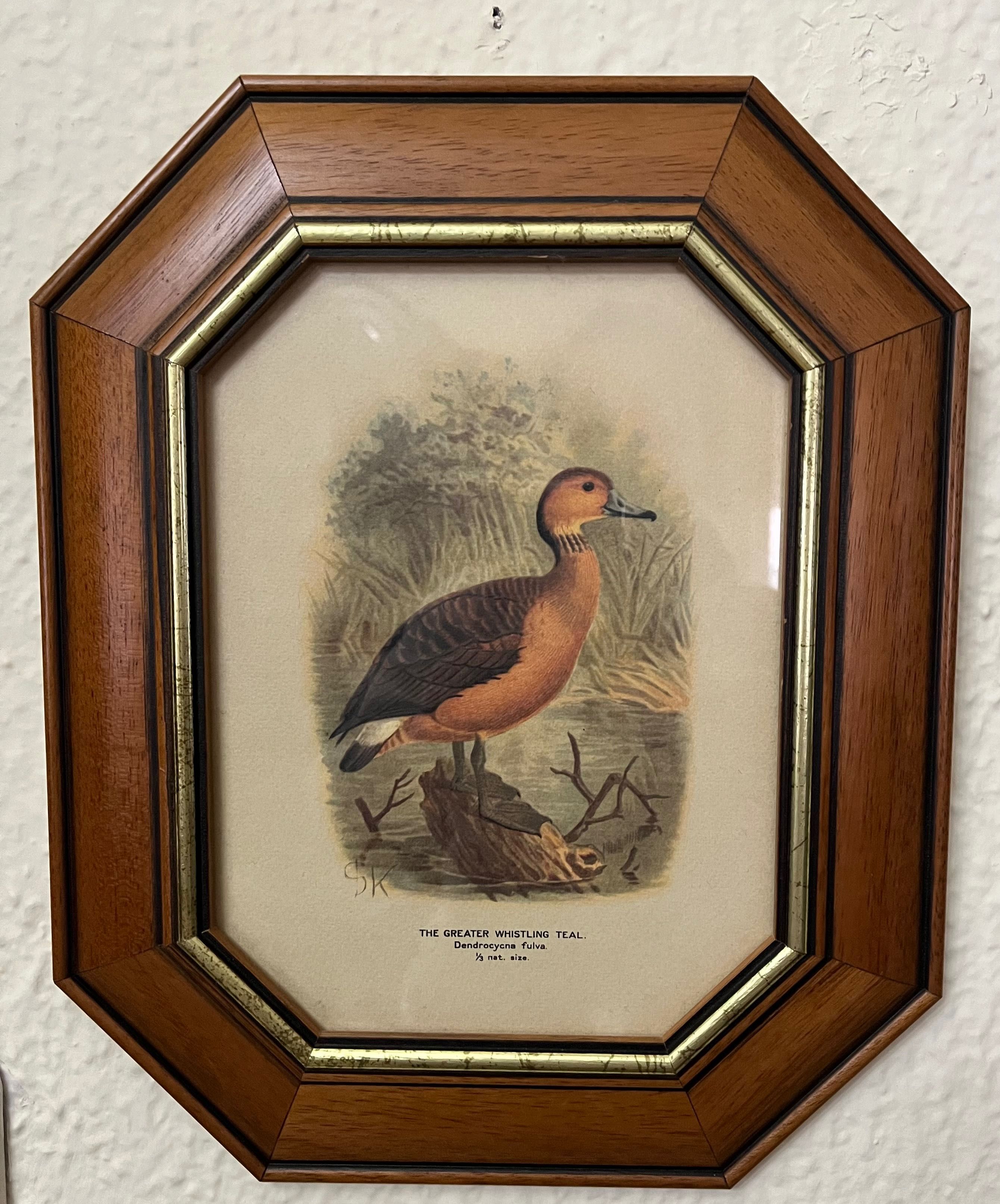 Quadros com moldura de madeira
