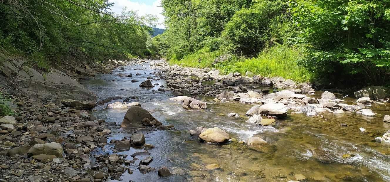 Domek letniskowy w górach nad rzeką! Agroturystyka RegeWege-Dziupla