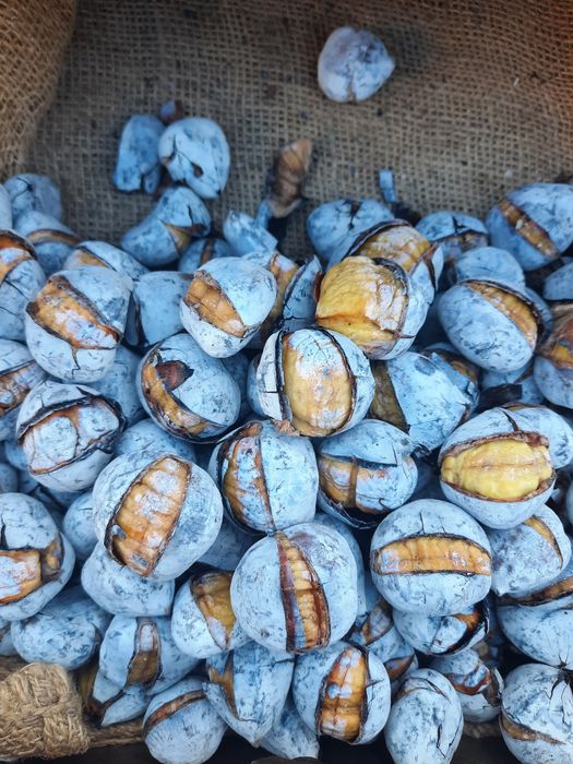 Assador Fogareiro, carrinhos e todo matrial para Castanhas  assadas