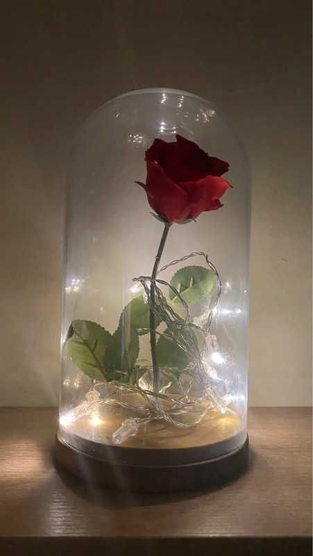 Lâmpada Campânula de Vidro com Rosa - A Bela e o Monstro