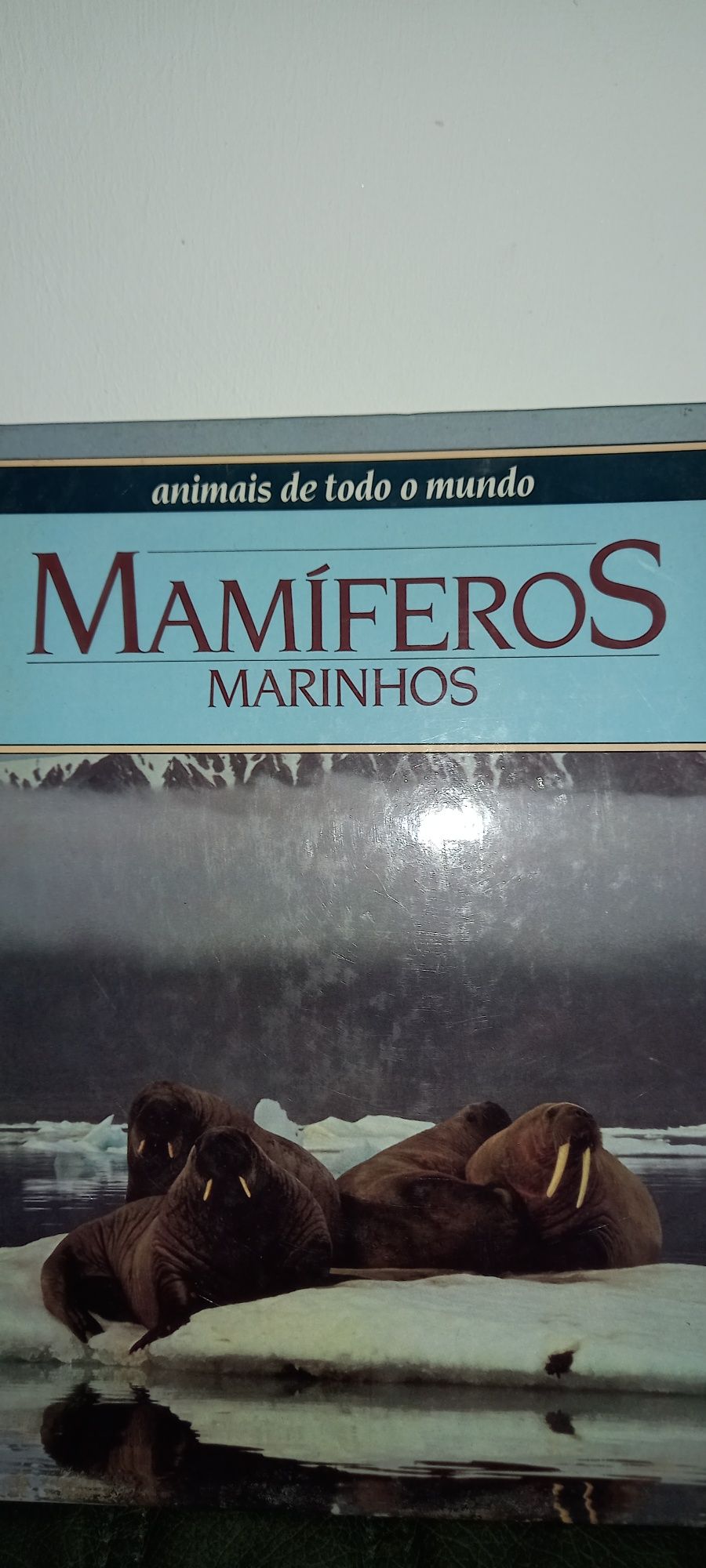 Coleções Animais de todo mundo