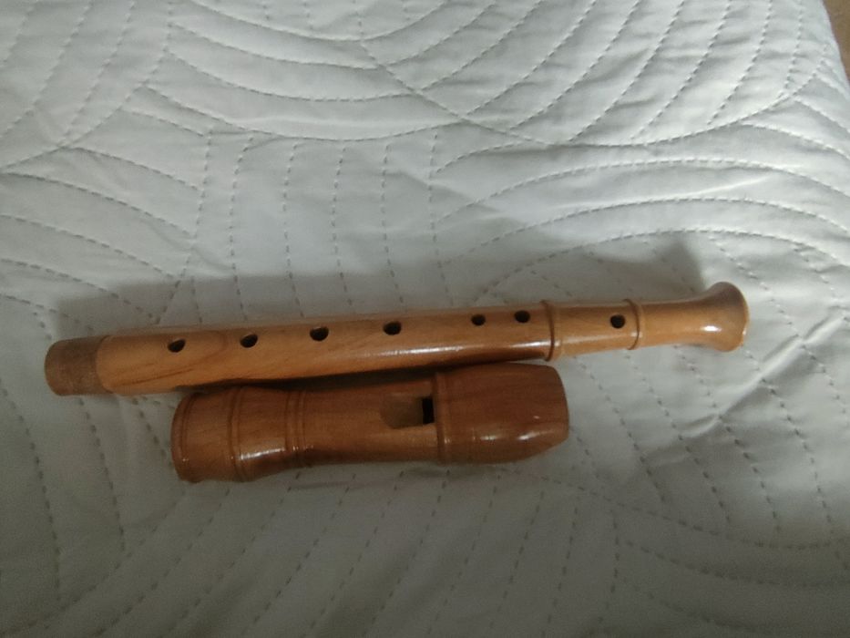 Flet szkolny na muzyke