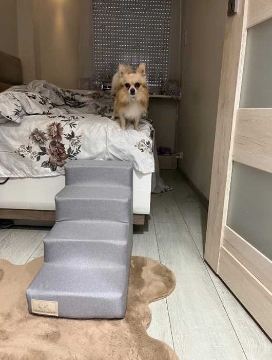 Schody Schodki dla Psa Kota Rampa Podest 4 Stopnie Stabilne 40cm