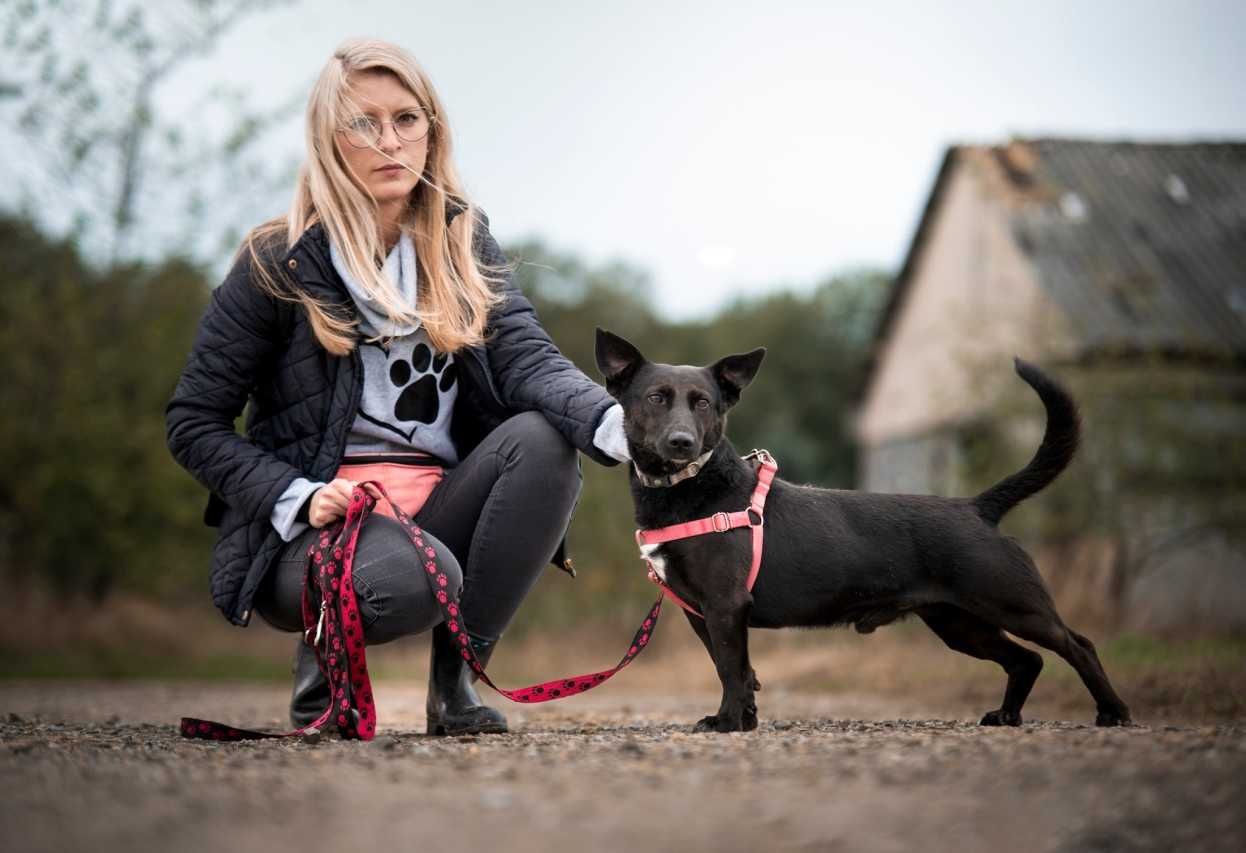 Delikatny Gutek - dziś potrzebny mi...taki ktoś, jak Ty!