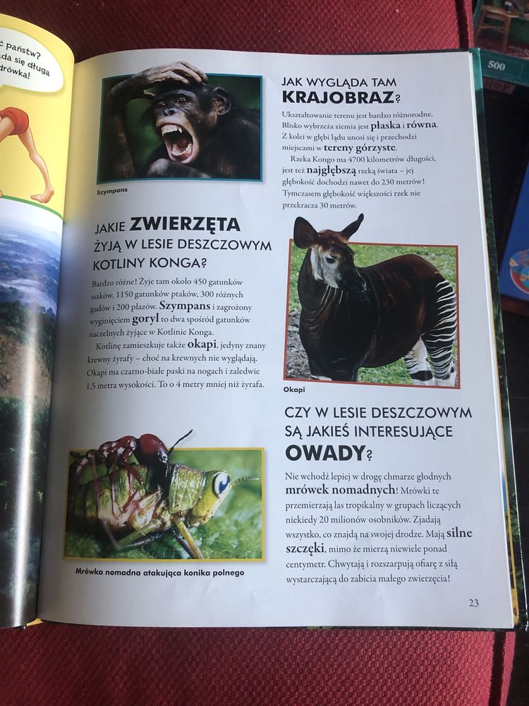 Cudowny świat przyrody
