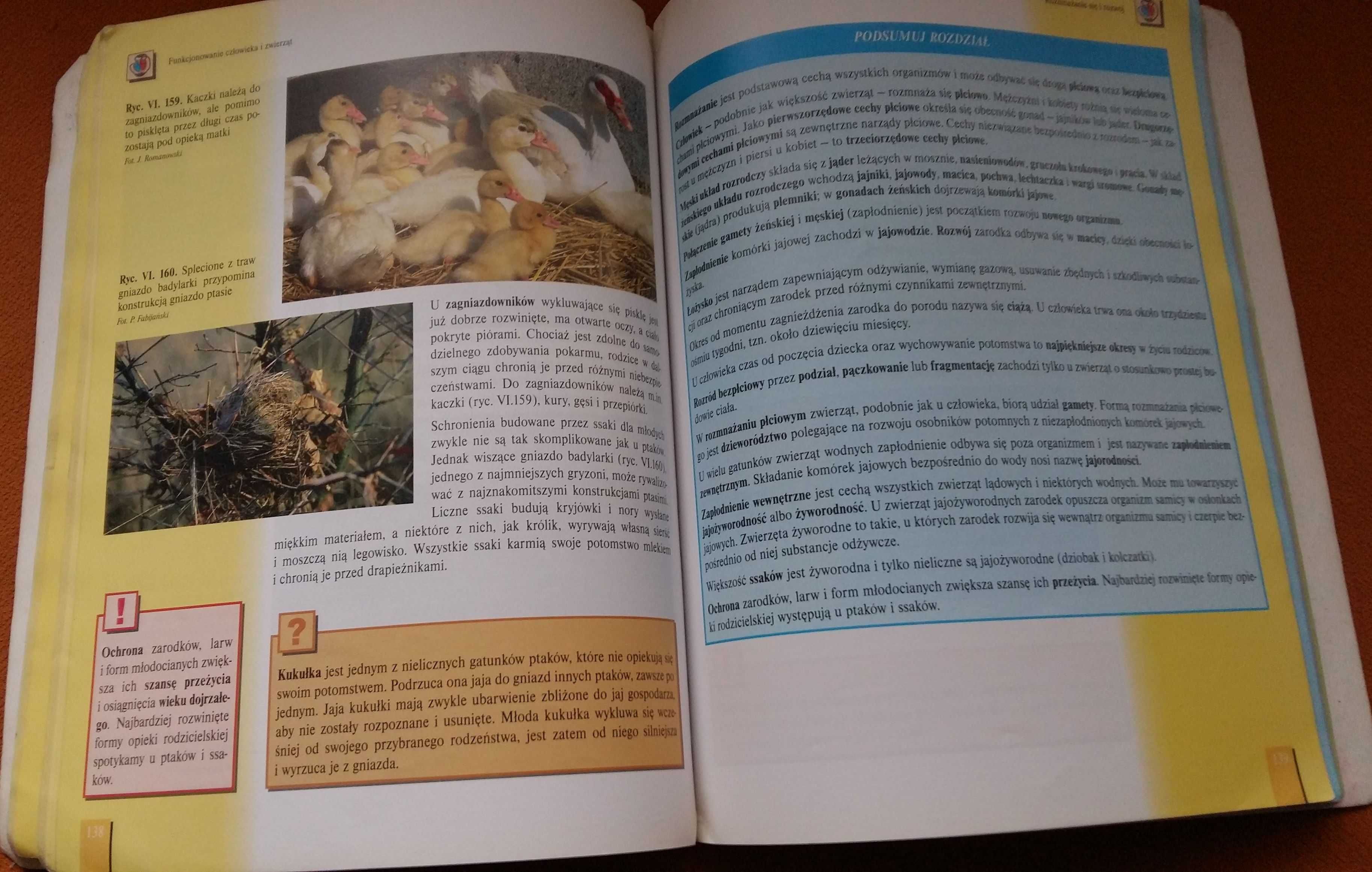 Biologia XXI wieku podręcznik część 2 - Czubaj,Grzegorek