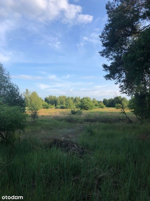 Działka rolna 9680 m² z dojazdem utwardzonym