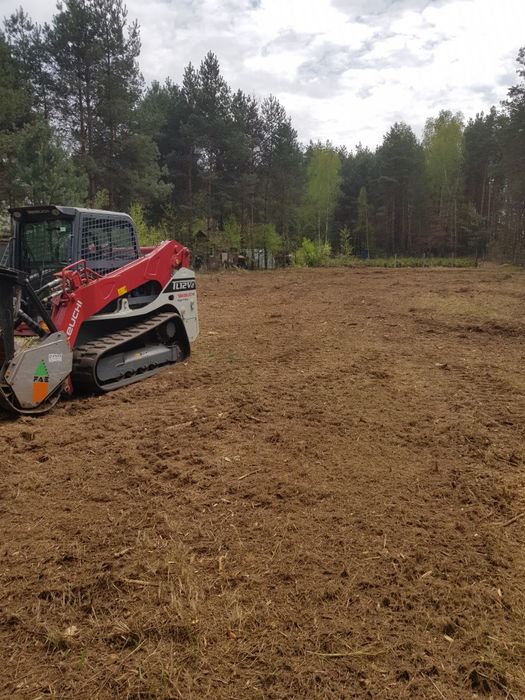 Czyszczenie działek mulczer samosiejki profesjonalnie