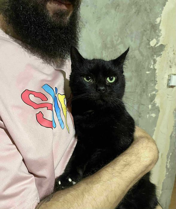 Pralina Szuka Domu - Fundacja Małe Łapki