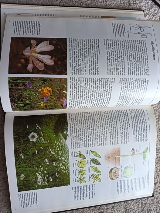 As Plantas - Ardley, Neil ; Matthews, Robert  como novo!