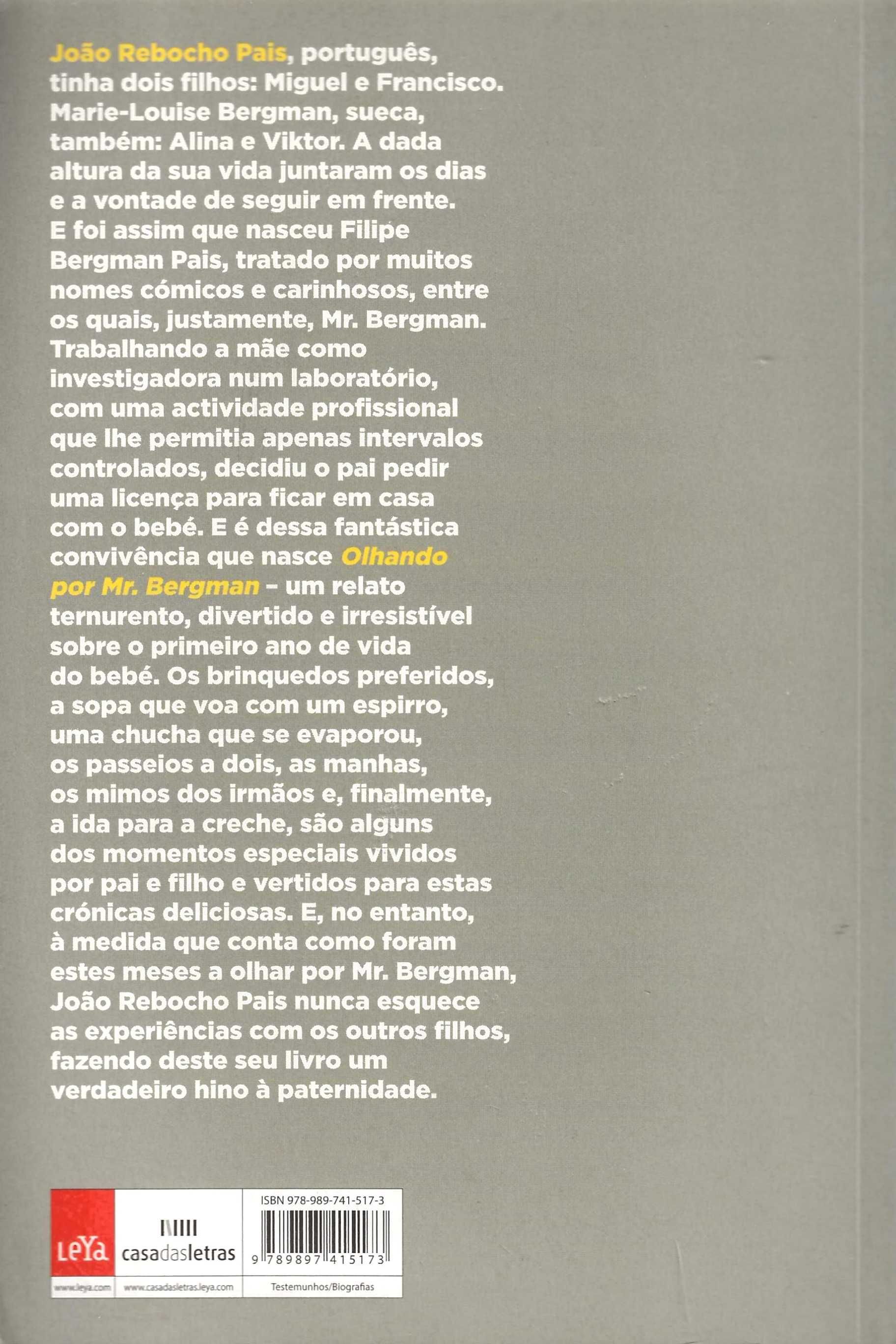 Olhando Por Mr. Bergman