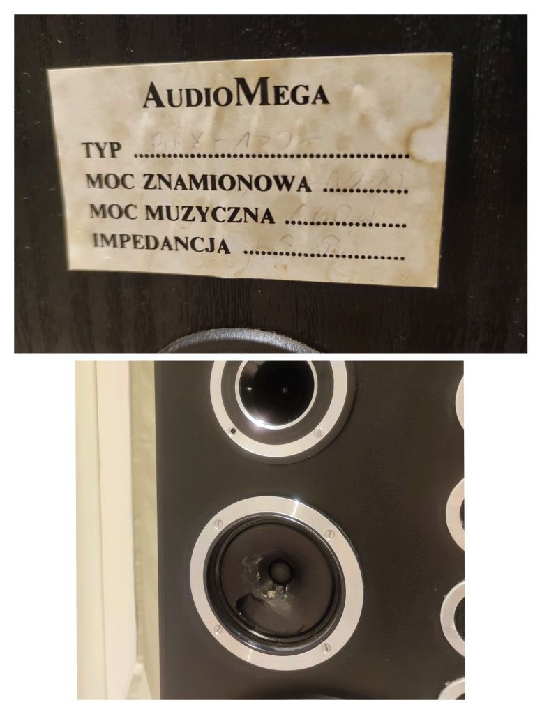 Kolumny głośniki jak Altus Tonsil 110