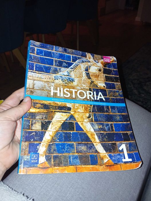 Historia WSiP Podręcznik 1