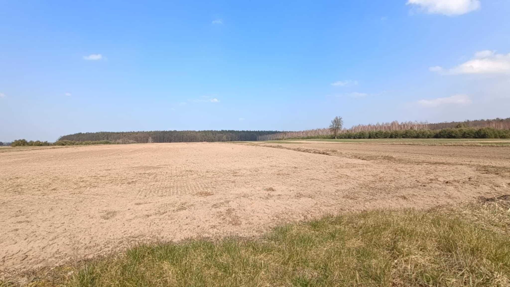Sprzedam siedlisko  dom z działką 1.6h