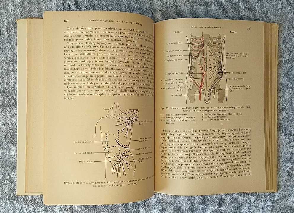 Anatomia topograficzna Johannes W. Rohen