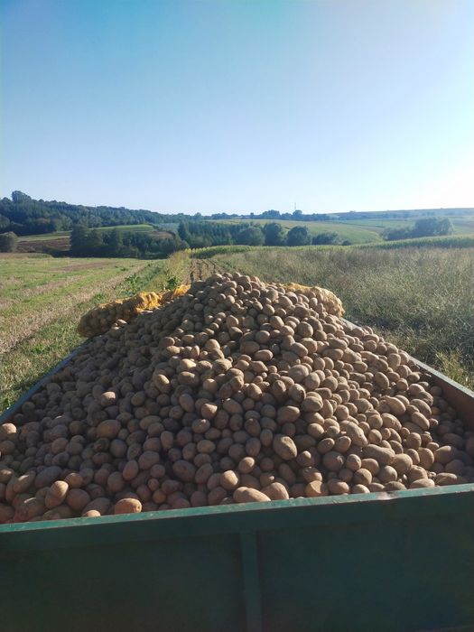Warzywa z dostawą z własnego gospodarstwa