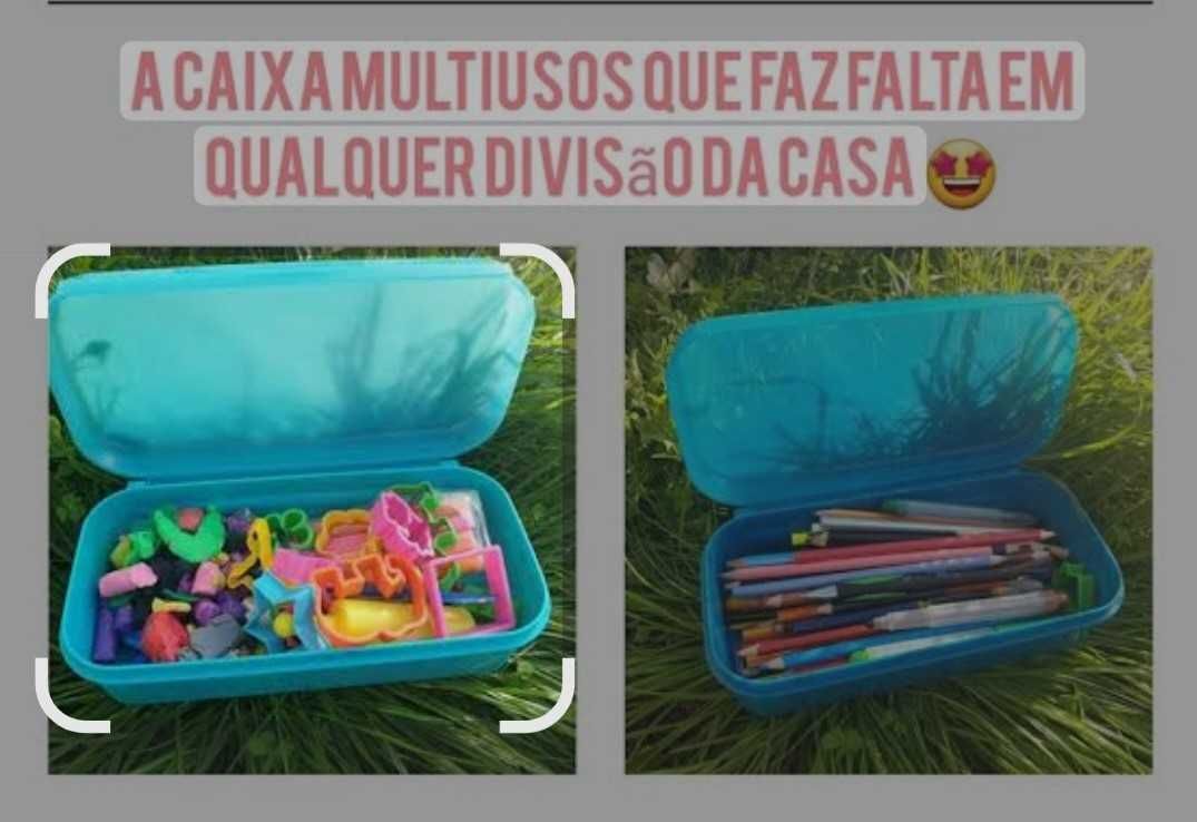 Caixa Multiusos 980ml Tupperware