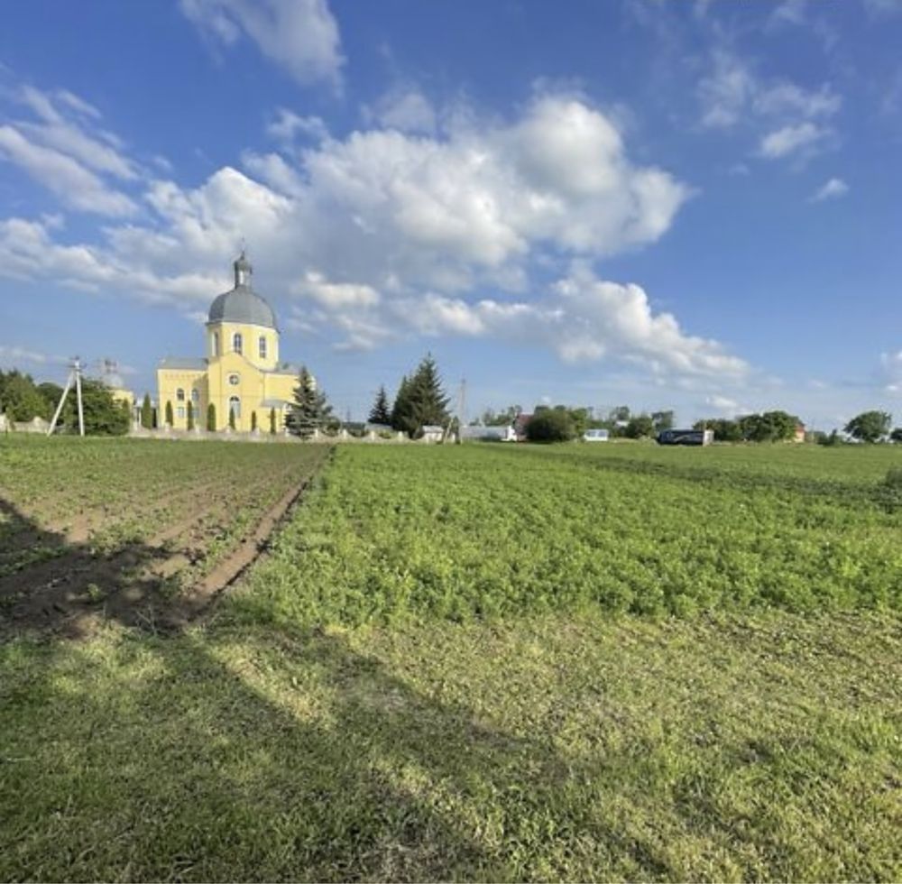 Продаж землі  с. Ангелівка