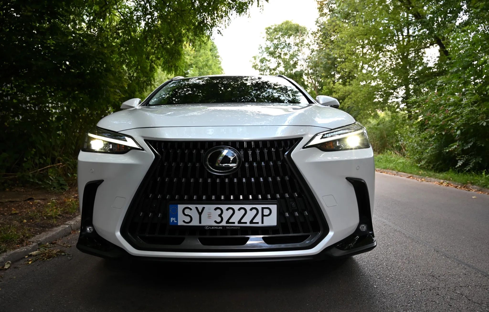 Lexus NX Krajowy bezwypadkowy Biała perła serwis ASO Asystenci