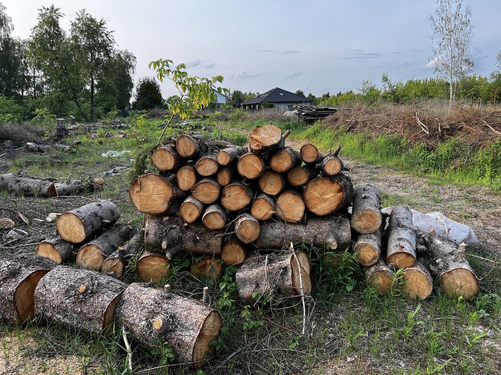 Drewno opałowe świerk