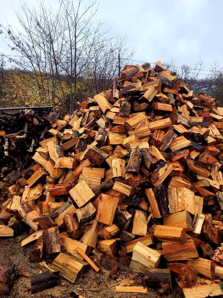 Drewno opałowe 200zł
