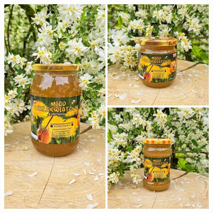 Miód wielokwiatowy  i inne 2025 z Polskiej pasieki
