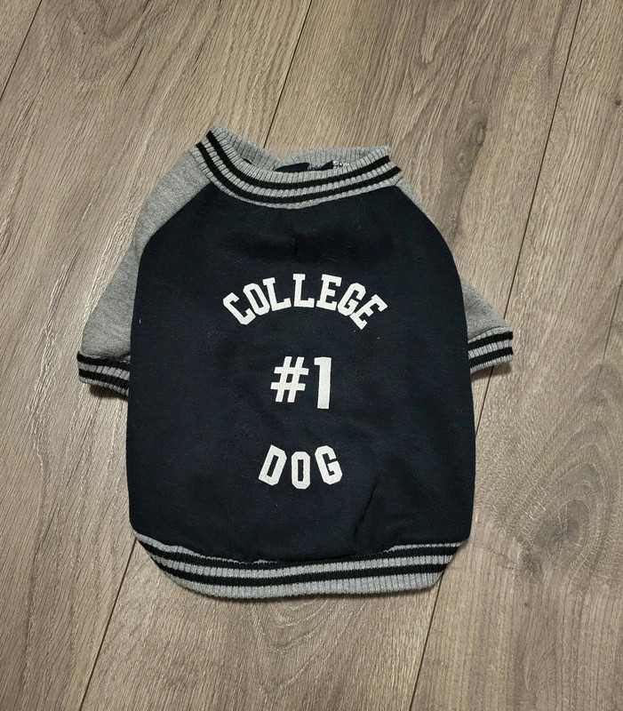 S Nowa Tedi bluza ocieplana sportowa czarno szara z napisem