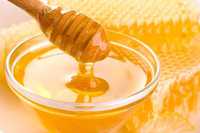 Продам свіжо відкачаний мед