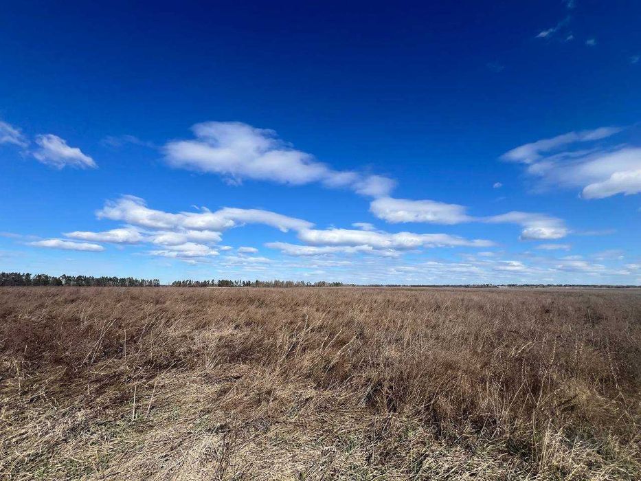 Продаж земельної ділянки 1,46га (ОСГ). Терміново! ТОРГ! ID:679