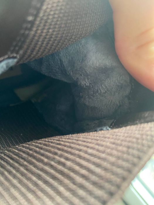 Ботинки зимние челси