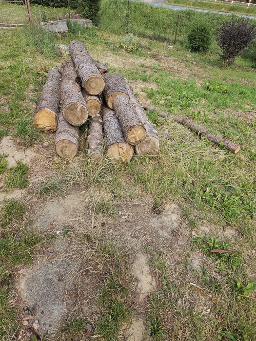 Drewno 2 miesiące temu cięte