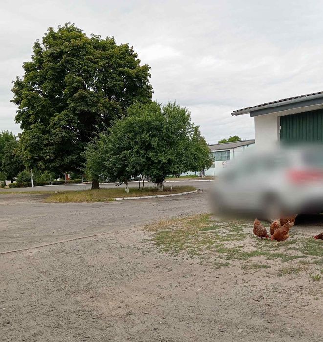 Гараж з підвалом  в оренду