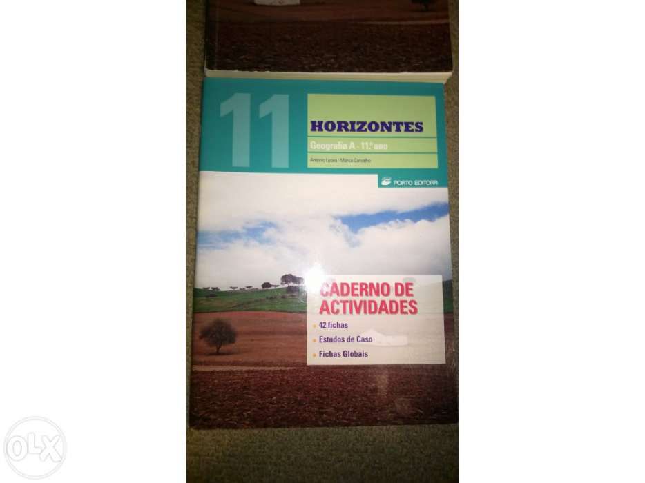 Livro Geografia 11ºano Novos Horizontes