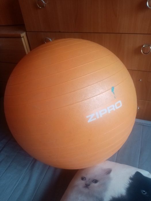 Piłka gimnastyczna 55cm