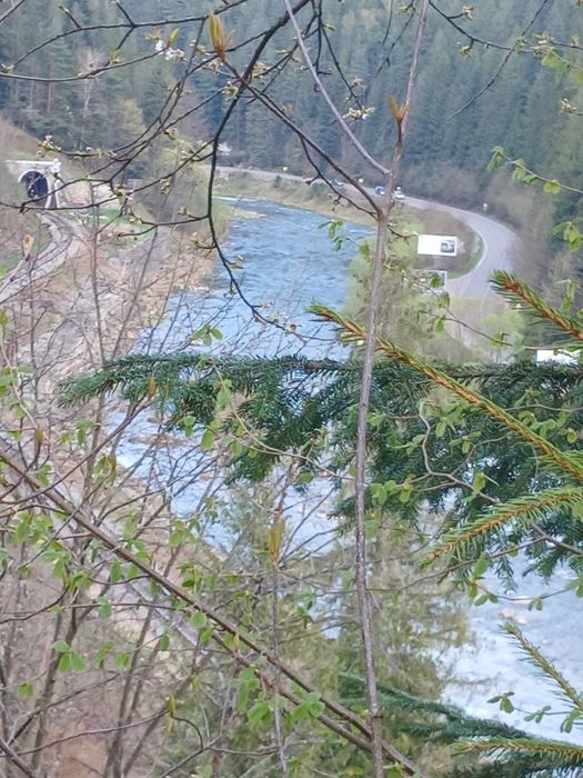 Відпочинок у карпатах. Ціна договірна