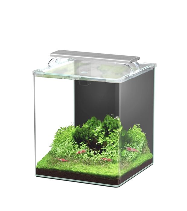 Aquário Kubus Curve 30 L