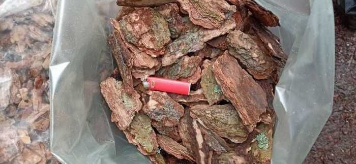 Przepiękna Kora ręcznie sortowana AŁTAJ PREMIUM- TRANSPORT GRATIS