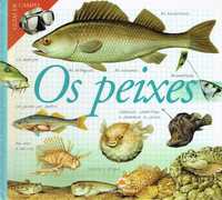 14511

Os Peixes
Guias de Campo

Plátano Editora