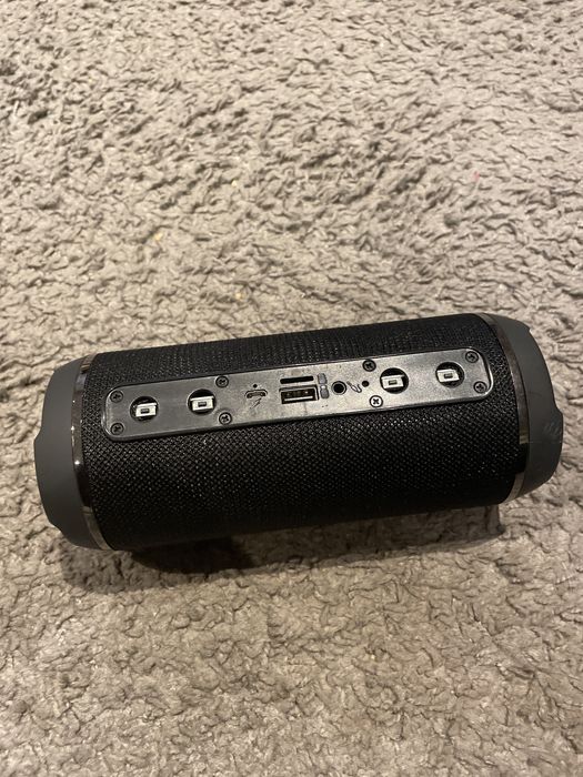 Sprawny Głosnik manta