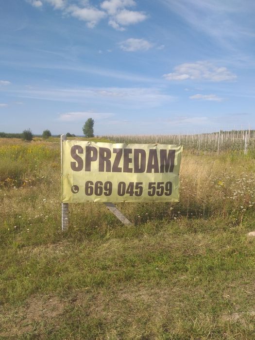 Pole orne, cena 140000