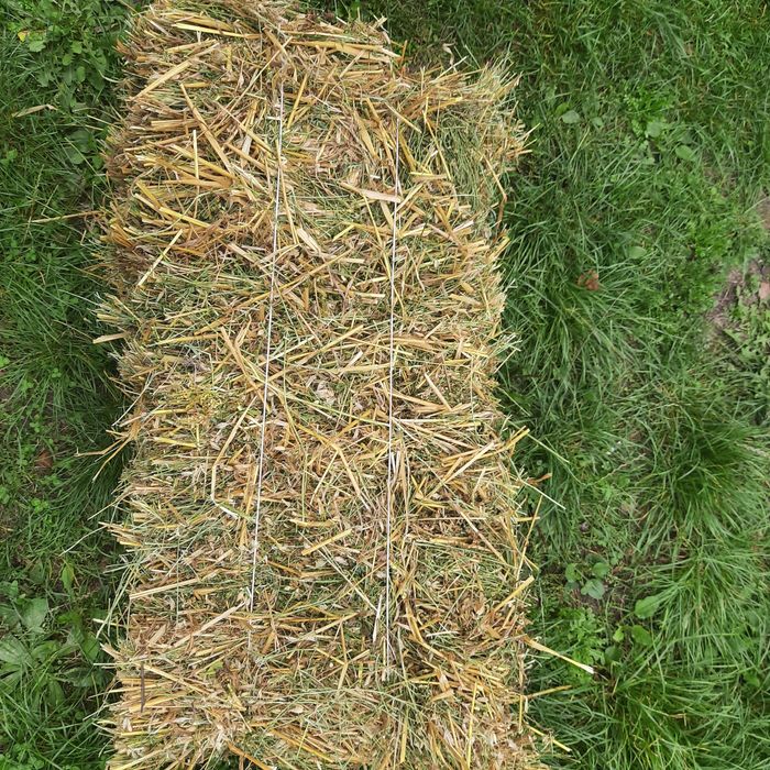 Продам сіно,люцерна+овсянка