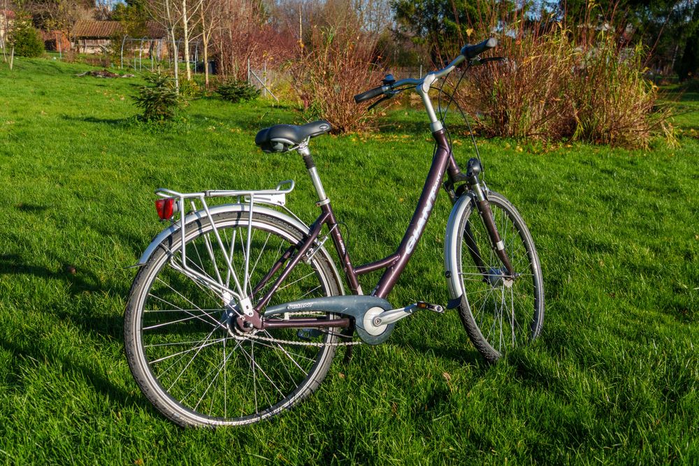 Giant city adventure tourer cs1 rama S