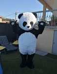 Mascote do Fato  Panda