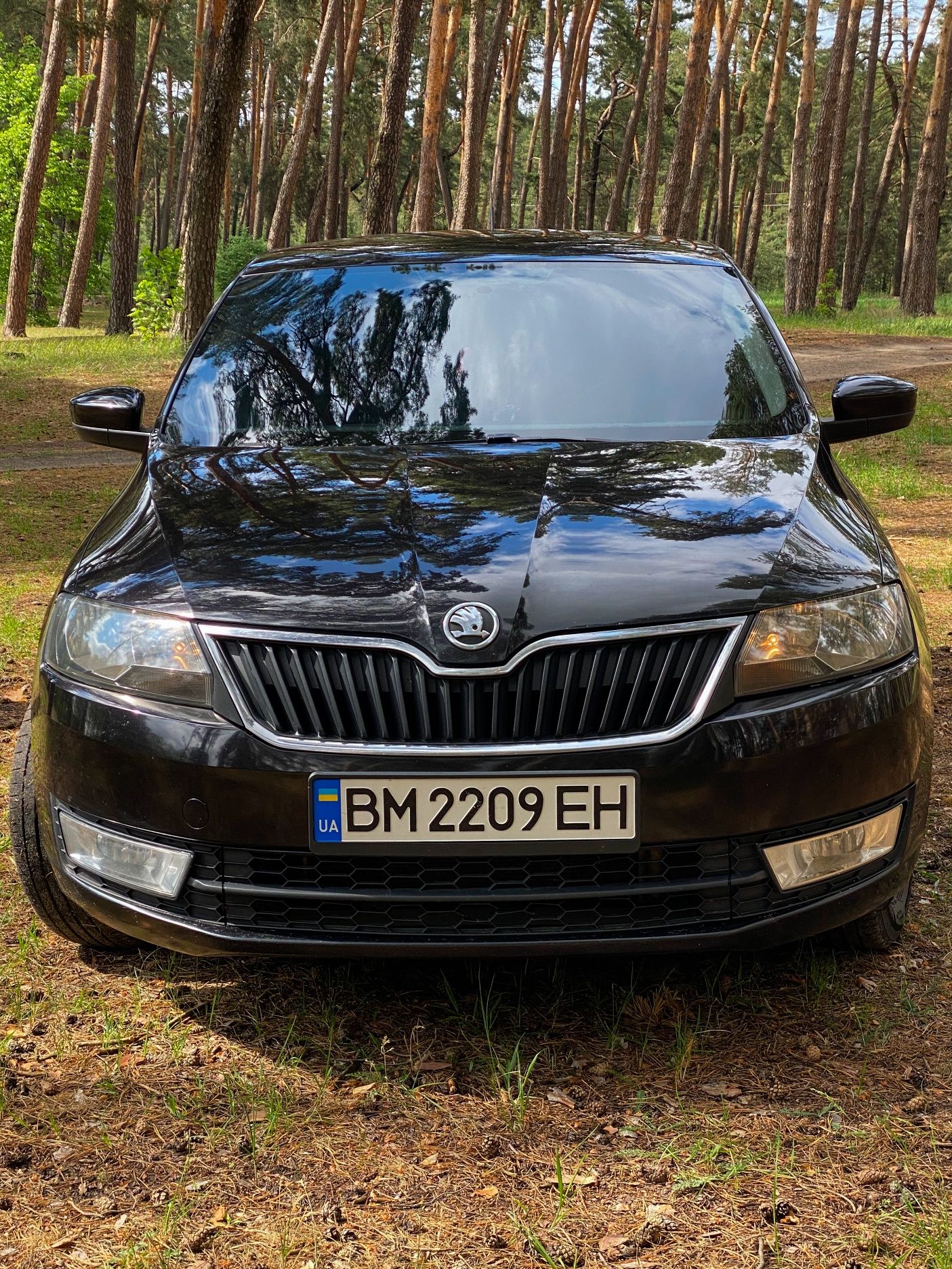 Skoda Rapid 2014